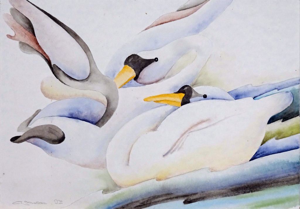 0562n