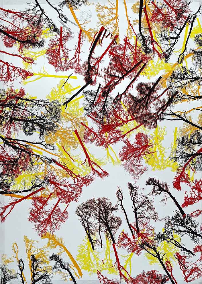 18 Elan vital et mortal, Siebdruck auf Acryl auf Papier, 91 x 128 cm, 2011