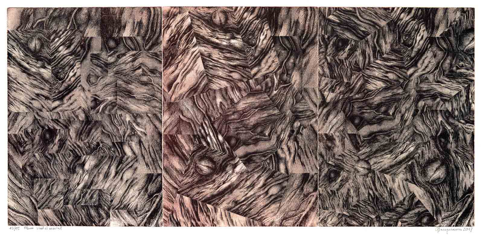 105 Elan vital et mortal, 29x63cm, 2017
