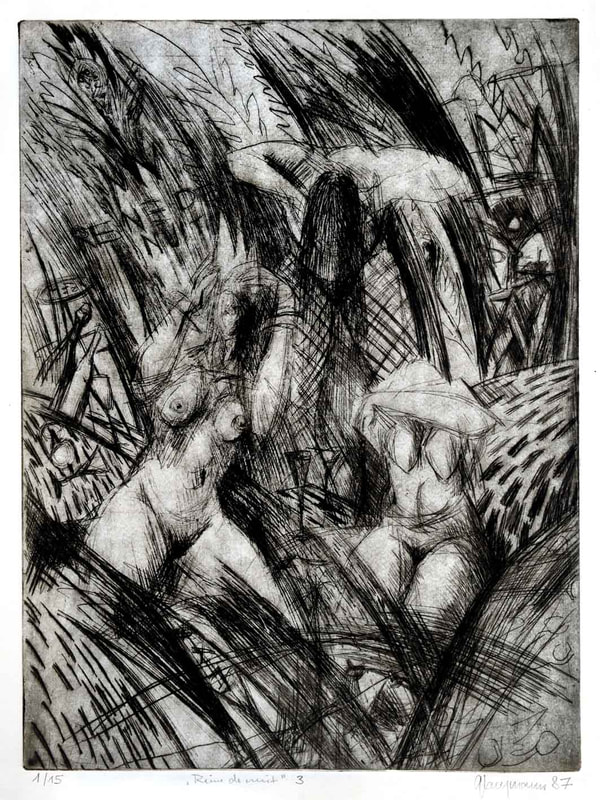28 Reine de nuit, 15x20cm, 1987