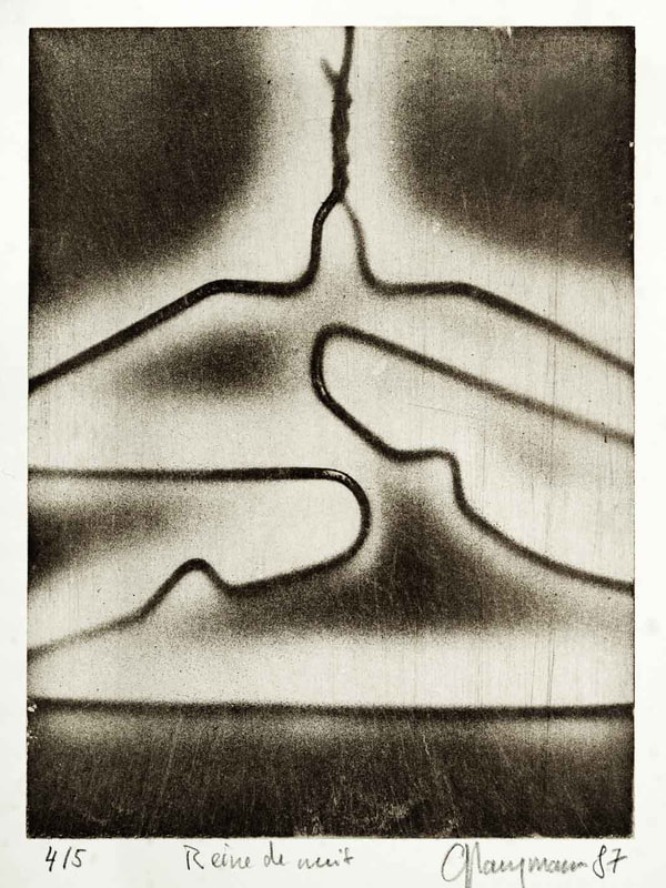 38 Reine de nuit, 15x20cm, 1987