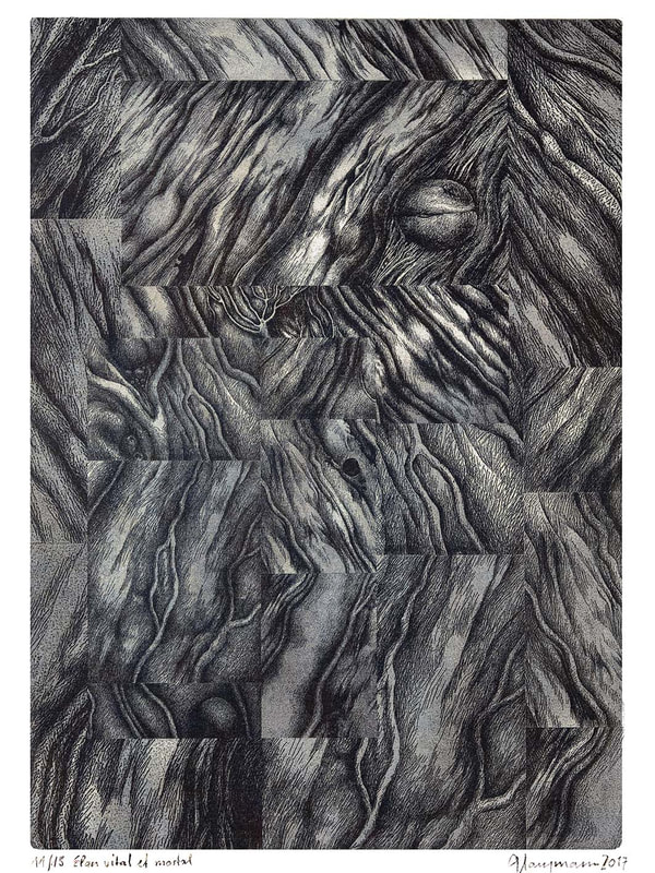 106 Elan vital et mortal,21x29cm, 2017